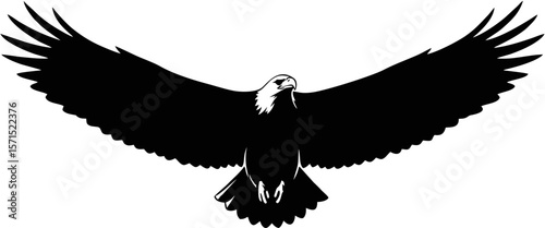 Black Silhouette of a Flying Eagle with Wings Spread on White Background