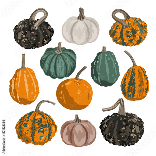 Set of funny small decorative pumpkins isolated on white. Acorn squashes and dimply and warty gourds vector illustration
