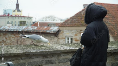 woman feeding a seagull
