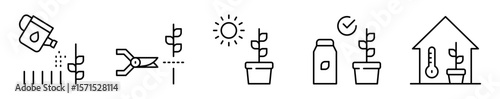 Conjunto de iconos de cuidado de plantas. Acciones para plantas sanas. Riego, podar, luz solar, protección contra plagas y control de temperatura. Ilustración vectorial