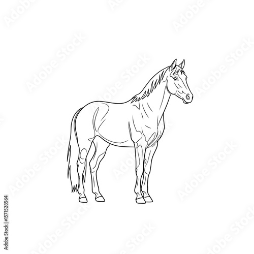 Illustration of a standing horse in black and white outline style