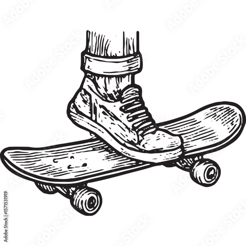 Premium Black and White Skateboard with Shoe Vector Art Illustration