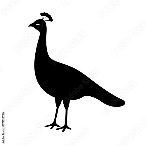 A striking black silhouette of a peacock standing proud against white backdrop