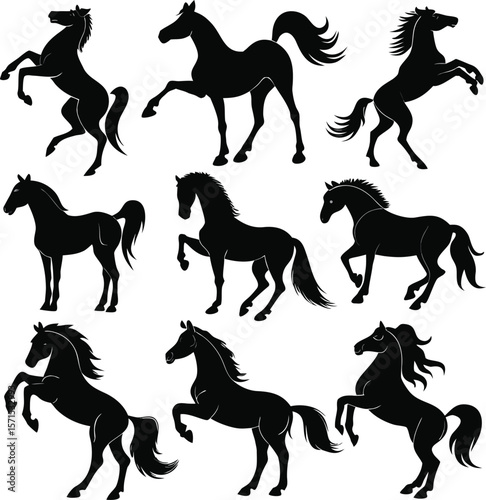 Horse silhouette bundle set vector A collection of 9 black horse silhouettes in various poses, including jumping, standing, sitting, and digital use with white background 
