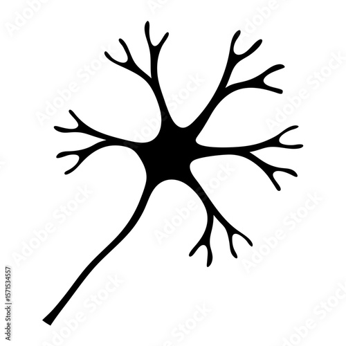 Stylized black and white neuron with dendrites and axon on white background