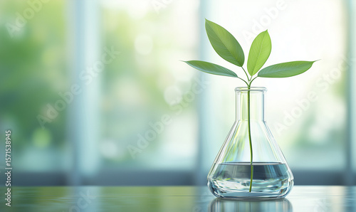 Innovative bcg circular economy practices for sustainable society and environment engagement in science and technology