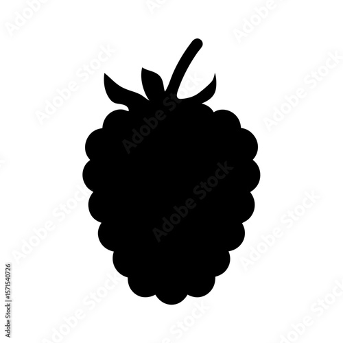 Silhouette of a Blackberry, a Delicious and Nutritious Summer Fruit