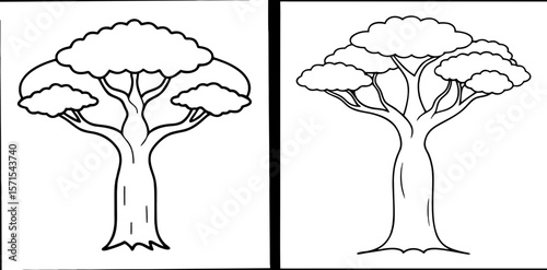 Baobab Tree Coloring Book Page – Outline Line Art Unique African Tree Illustration for Kids and Adults
