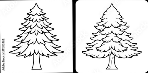 Cedar Tree Coloring Book Page – Outline Line Art Evergreen Tree Illustration for Kids and Adults