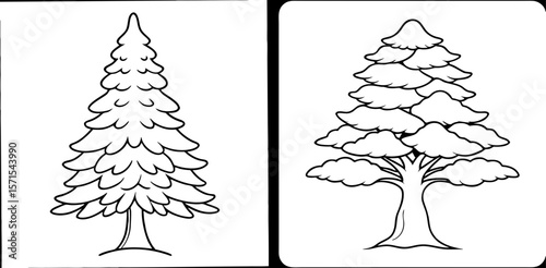 Cedar Tree Coloring Book Page – Outline Line Art Evergreen Tree Illustration for Kids and Adults