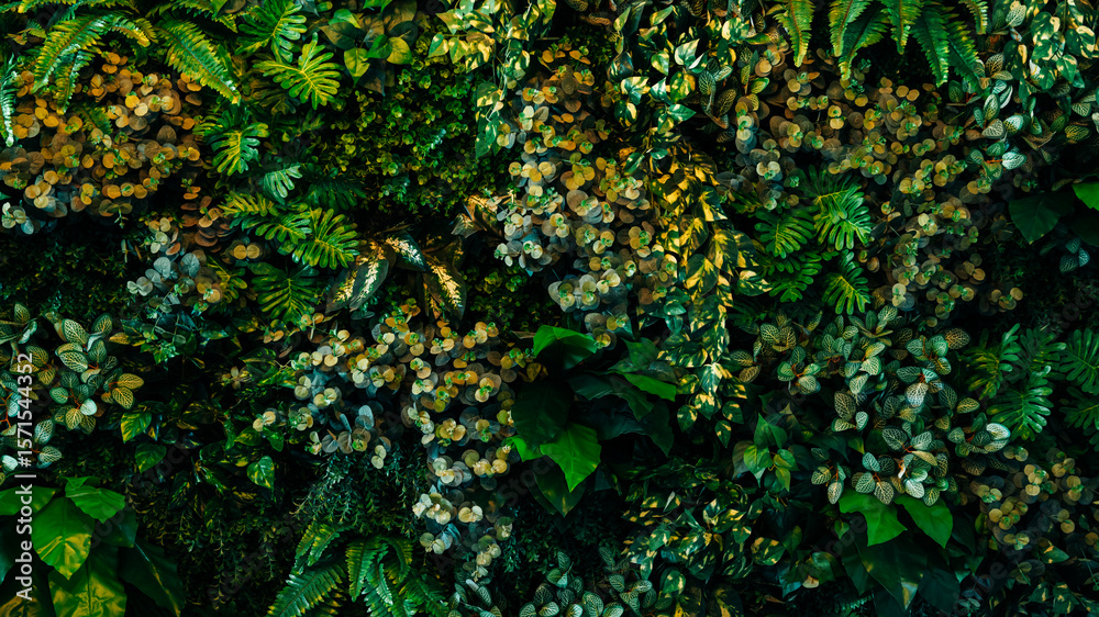 Fototapeta premium Close up group of background tropical green leaves texture and abstract background. Tropical leaf nature concept.