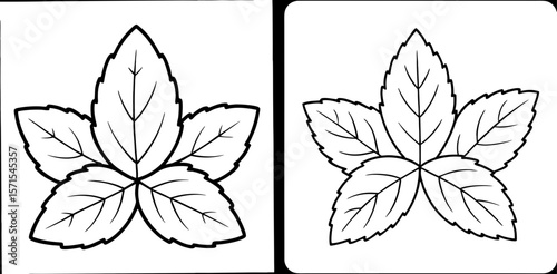 Mint Leaves Coloring Book Page – Outline Line Art Herbal Plant Illustration for Kids and Adults
