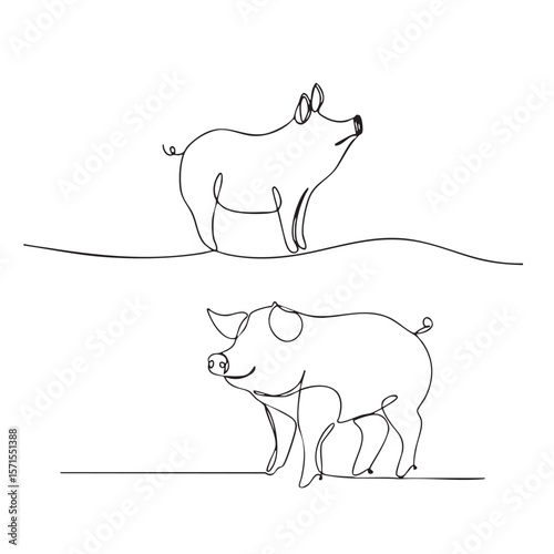 pig one line art, continuous line art, animal, illustrations