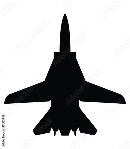 F-14 Tomcat (Grumman) fighter jet icon. us army symbol. isolated vector image for military concepts, infographics and web design, Heritage of U.S. Air Force Fighters