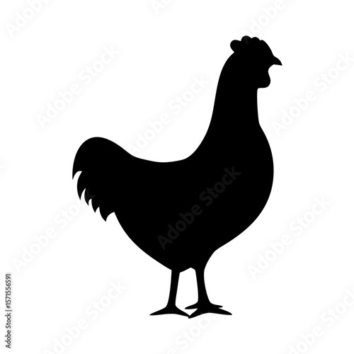 Silhouette of a Chicken Standing Profile View on a White Background