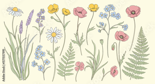 Watercolor Style Botanical Illustration with Daisies Poppies Ferns and ForgetMeNots.