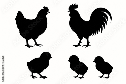 Hen, Rooster, and Chicks Silhouette Vector Set – Farm Animal Icons Collection on White Background