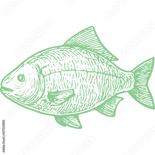 Fresh Organic Fish: Premium Seafood Catch