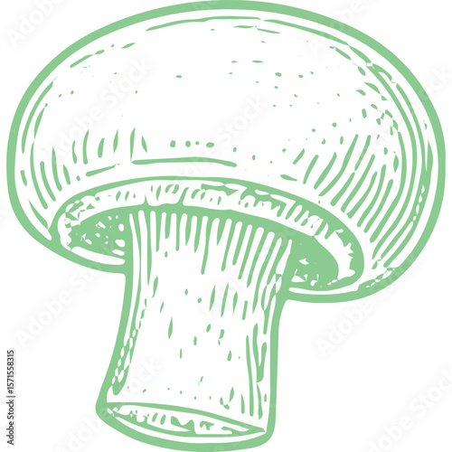 Fresh Organic Mushroom: Earthy Edible Fungus