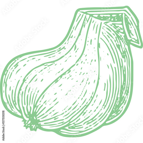 Fresh Organic Garlic Bulb: Aromatic Kitchen Essential