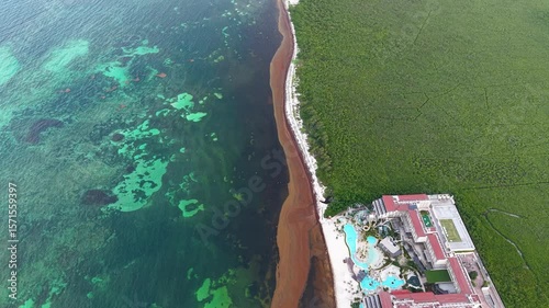 Dramatic Footage of Cancun's paradise coastline invaded by sargassum — showcasing the environmental clash between luxury resorts, mangroves, and ocean pollution.