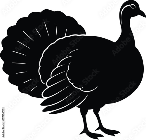 Turkey bird vector silhouette