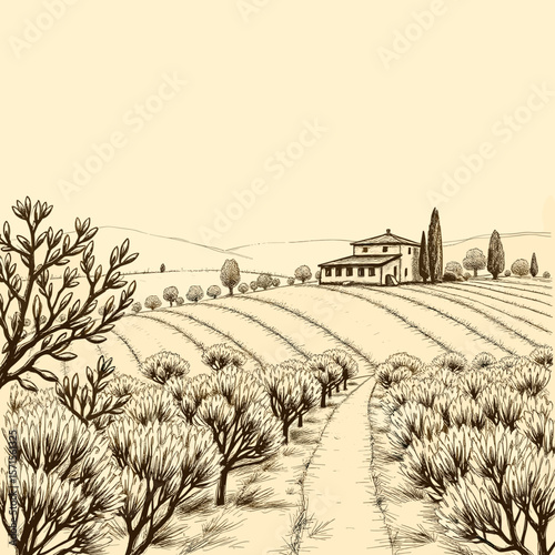 Path Leading to a Farmhouse