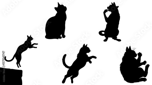 Stylish Silhouette Vector Set of Cats - Jumping, Sitting, Rolling and Playful Poses