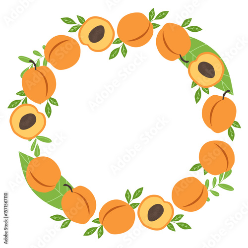 Round frame with apricots and leaves. Summer fruit circle border design. Blank template for decoration, card, and invitation.
