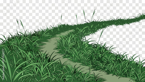 Green grass path illustration vector art design for nature landscape background and outdoor scenic view