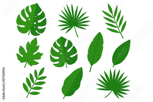 Tropical Leaves Collection. Exotic Jungle Foliage Set. Monstera, Palm, Fern, Banana, Botanical Greenery. Flat Vector Illustration. Nature, Summer, Decorative Plant Elements, Isolated, Modern Design