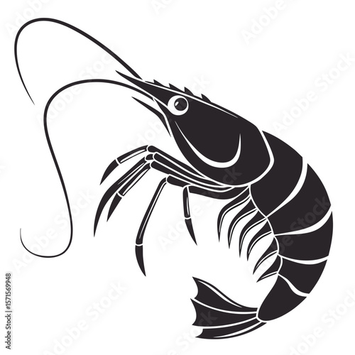 vector illustration of shrimp