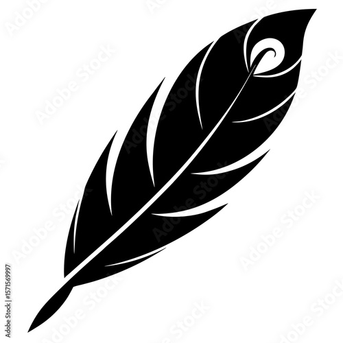 feather on white background