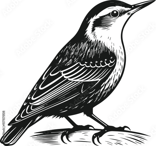 Sparrow Bird Vector Illustration – Detailed Flying Small Bird Design – Black Wildlife Clipart on Transparent Background