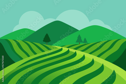 Green Tea Plantations On Hills With Neat Rows And Path
