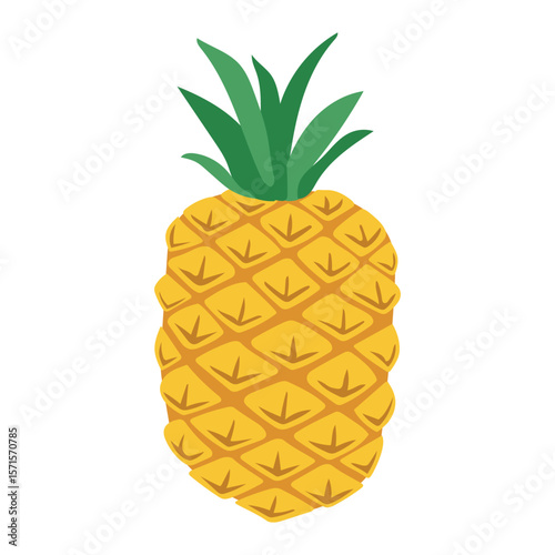 Pineapple. Cute vector illustration on white background in flat style. Botanical illustration of summer tropical fruits