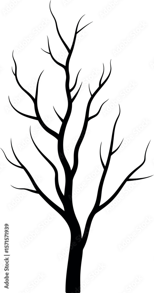 Obraz premium Branches silhouette on white background