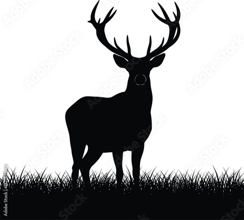 Majestic Stag Silhouette A Black and White Deer Illustration