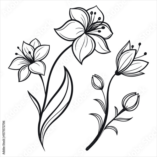 An abstract vector illustration depicting a beautiful floral icon  design