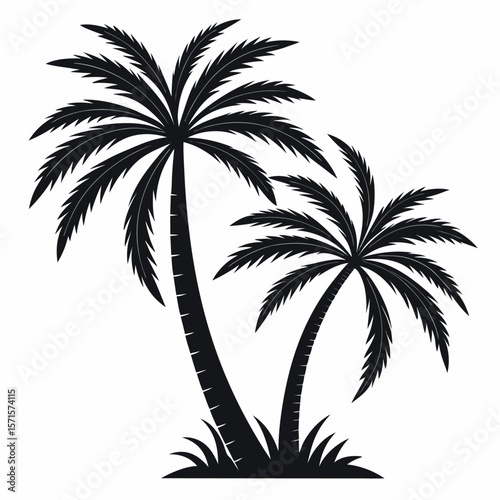 Two palm trees silhouette isolated on white background