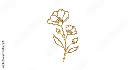 Elegant gold line drawing of flowering plant on white background  