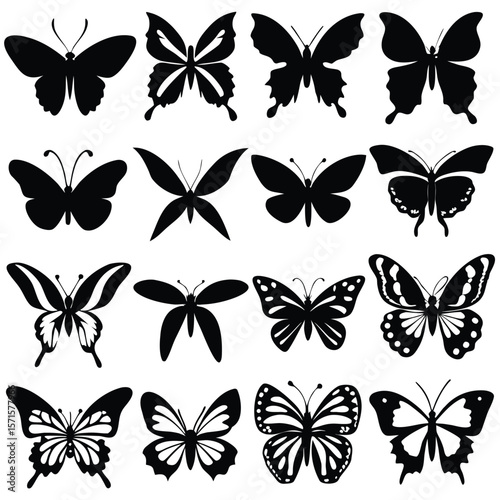 Sixteen Black and White Butterfly Silhouettes Collection Various Wing Shapes and Patterns Insect Designs