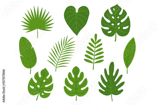 Tropical leaves set isolated on white background. Vector collection of flat cartoon jungle foliage. Exotic plant elements like monstera, palm, fern for botanical summer design.