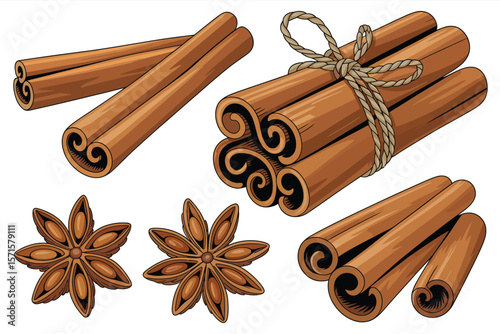 Cinnamon Sticks and Star Anise Spices Illustration