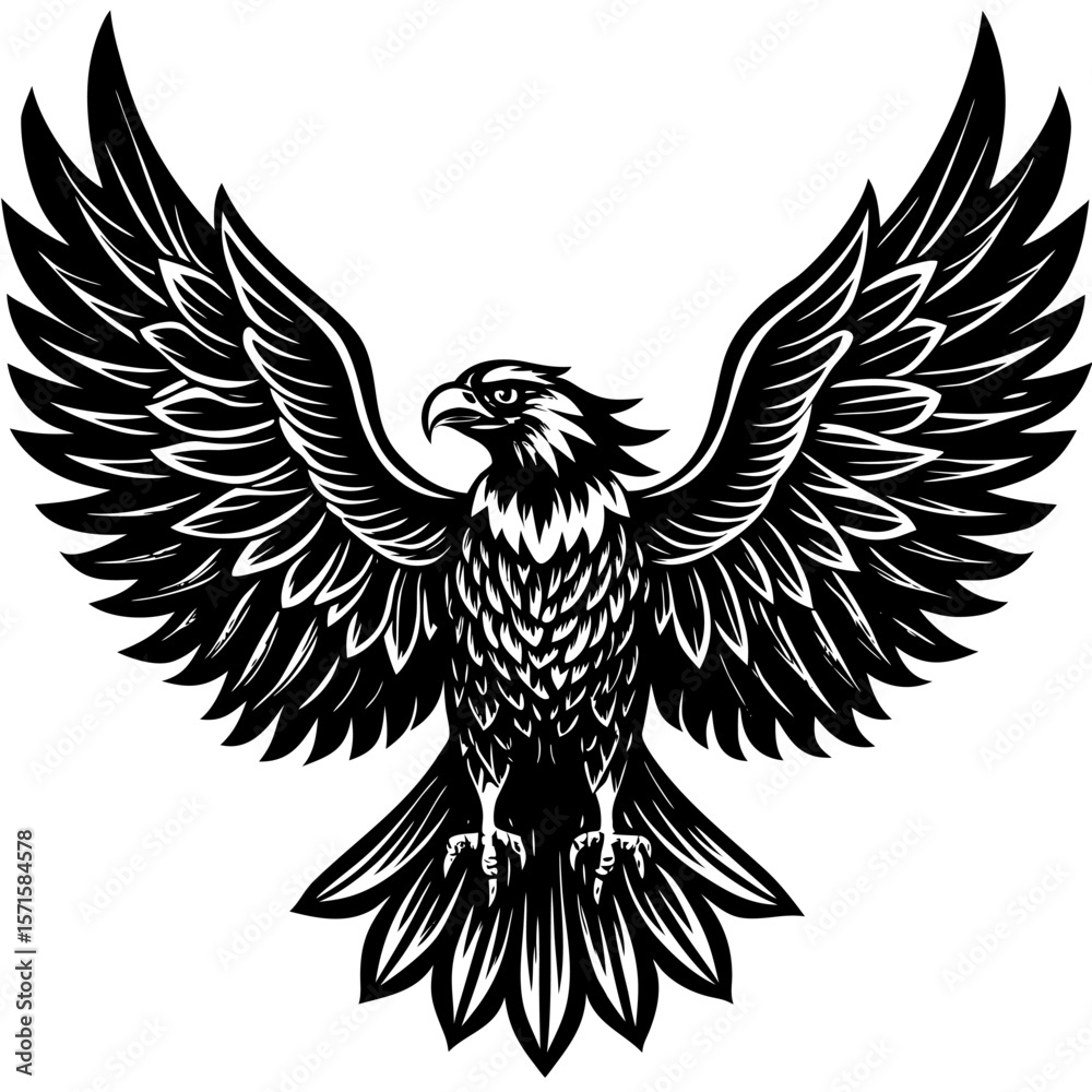 Obraz premium Detailed Eagle Illustration Realistic Majestic Wildlife Design for Creative Projects