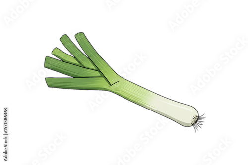 Fresh leek graphic offers a realistic, scalable design element, perfect for menus, food blogs, and culinary designs needing a vegetable theme.