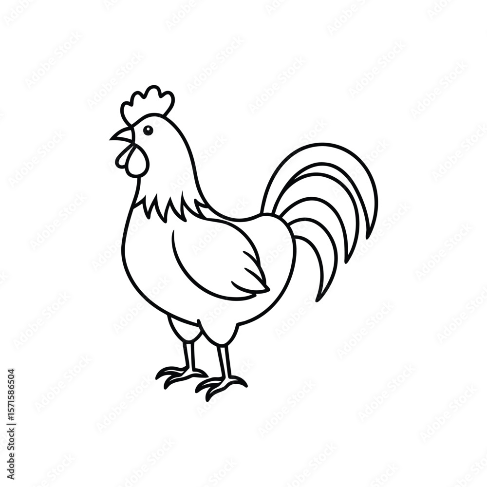 Fototapeta premium rooster line art