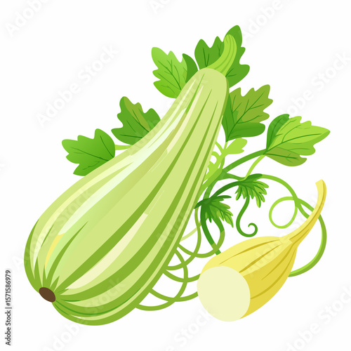 zucchini with leaves