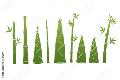 Green bamboo plants of different heights and stages, a versatile element ideal for backgrounds, patterns, or nature-themed logo design projects.