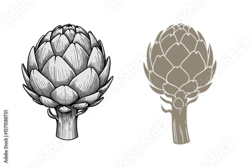 Detailed artichoke design with organic shape, ideal for food packaging, menu design, or a natural wellness brand's identity.